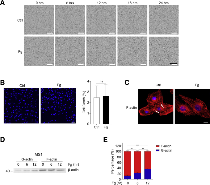 Figure 6