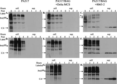 FIG. 7.