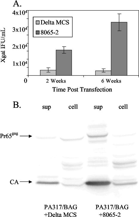 FIG. 6.