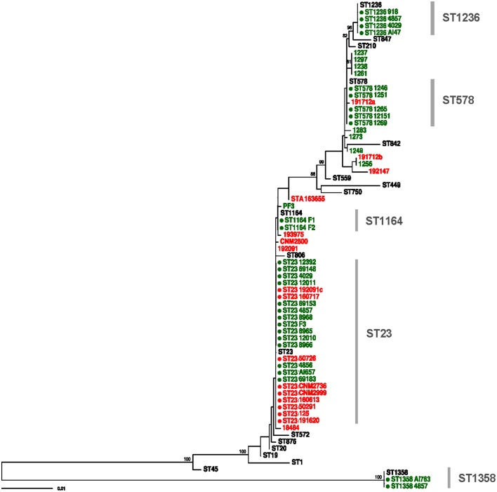 Figure 2