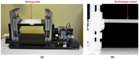 Figure 4