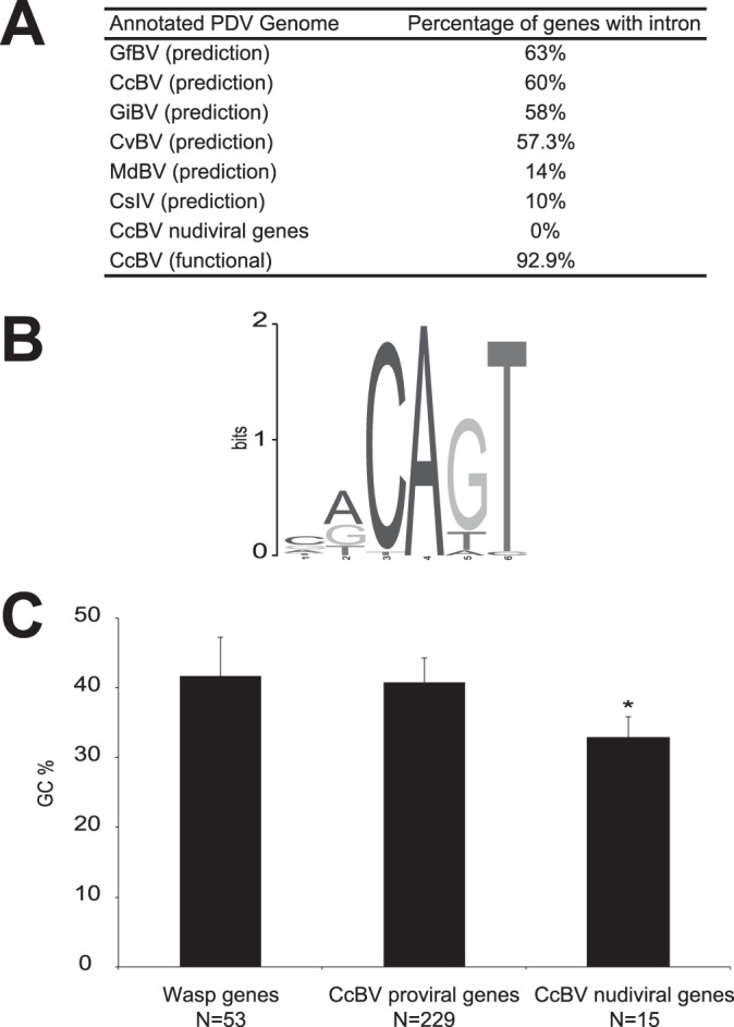 FIG 1