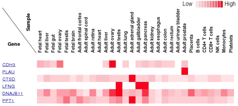 Figure 5