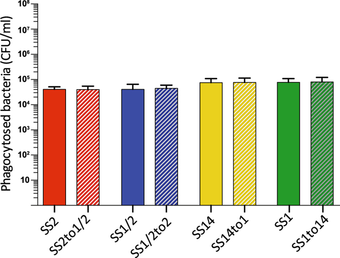 Figure 7