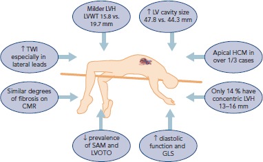 Figure 1: