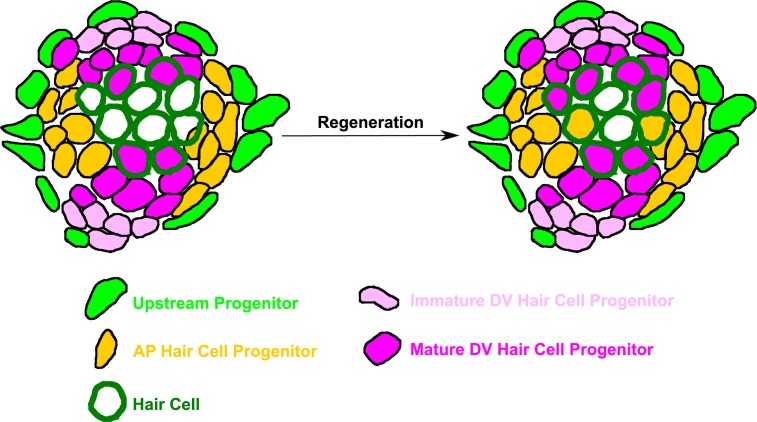 Figure 12.