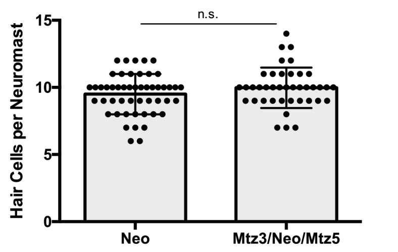 Figure 6—figure supplement 1.