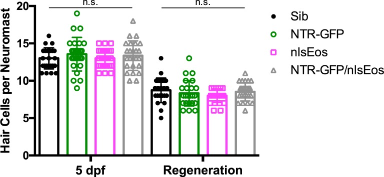 Figure 6—figure supplement 2.