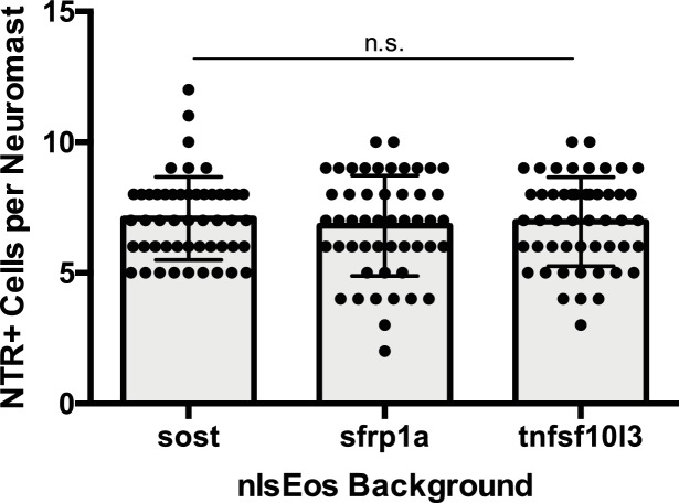 Figure 11—figure supplement 2.