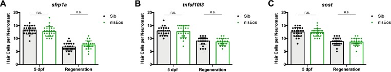 Figure 2—figure supplement 3.