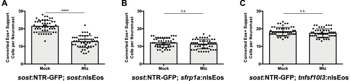 Figure 11—figure supplement 1.