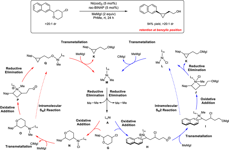 Scheme 6.