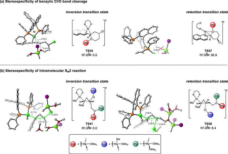 Figure 14.