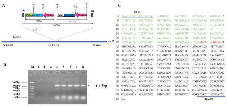 Figure 7