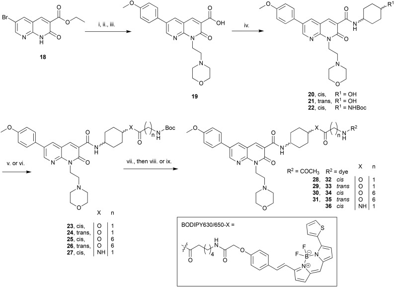 Scheme 2