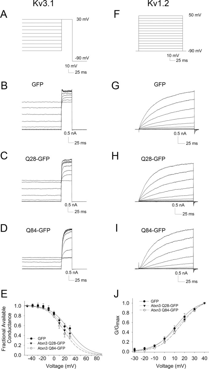 Figure 10.