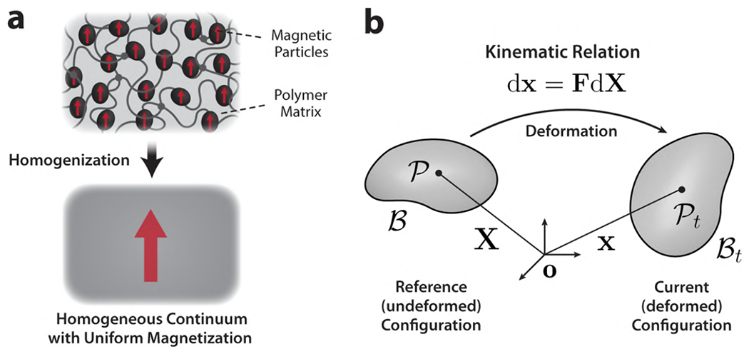 Figure 12.