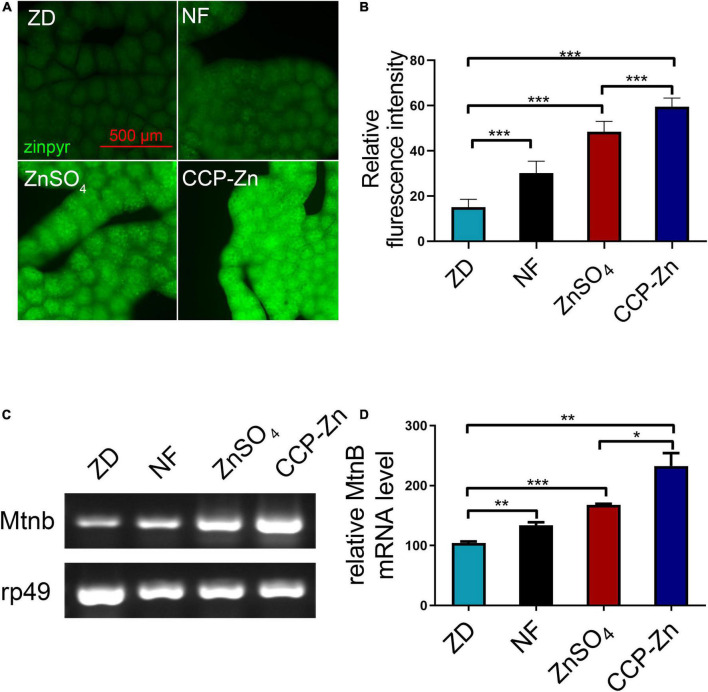 FIGURE 4