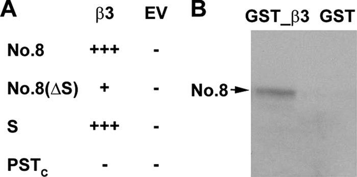 FIGURE 5.