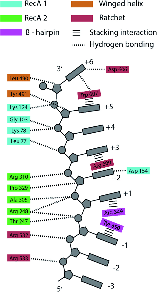 Figure 6.