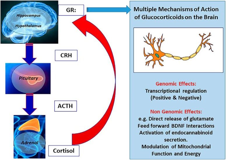 Figure 2.