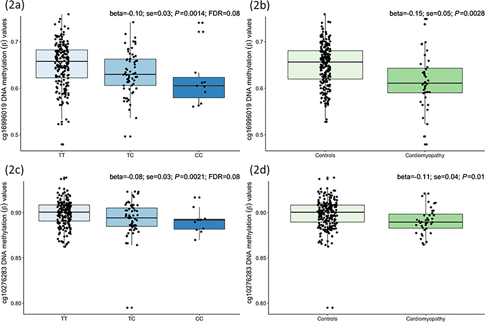 Figure 2 |