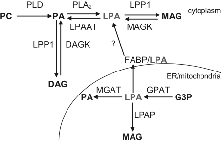 Figure 8