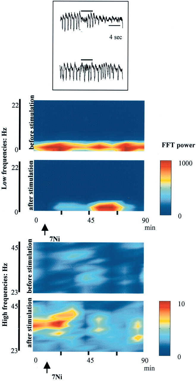 Figure 7.