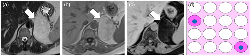 FIGURE 5: