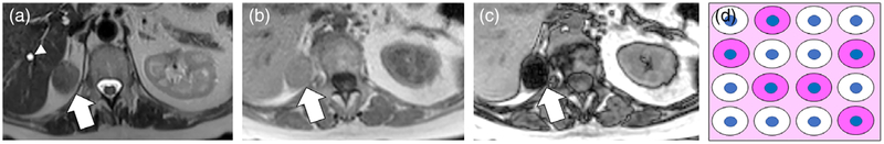 FIGURE 7: