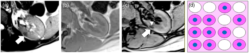 FIGURE 6: