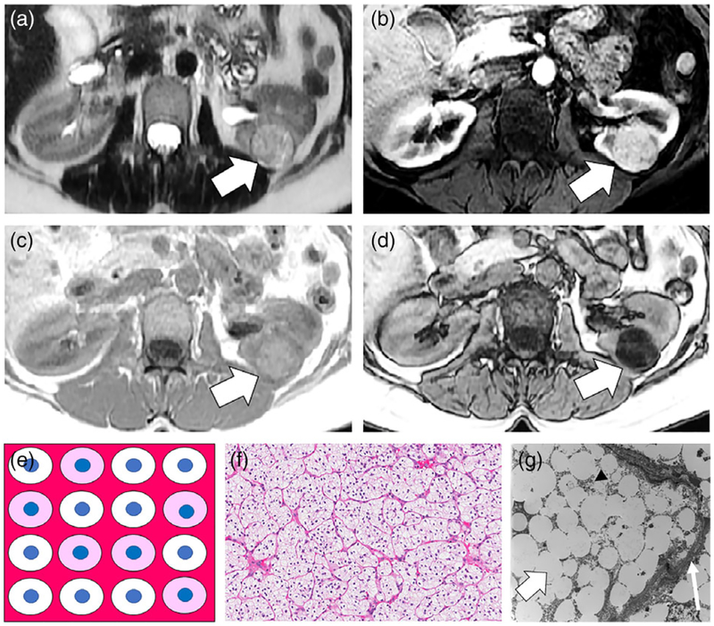 FIGURE 1: