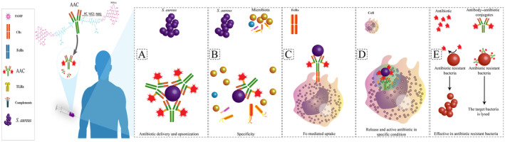 FIGURE 4