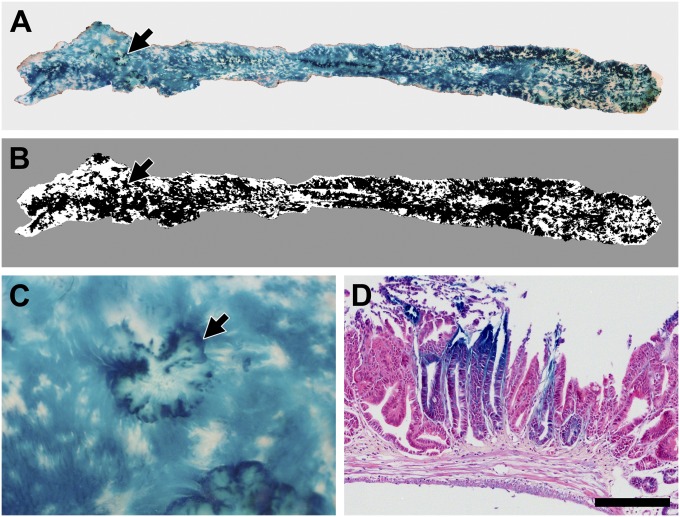 Fig. 3.