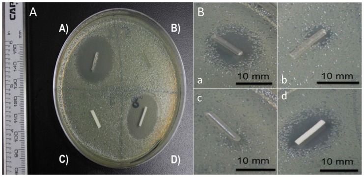 Figure 12