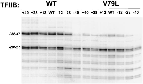 FIG. 5