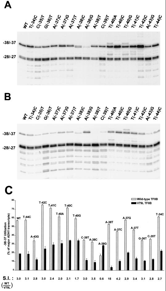 FIG. 8