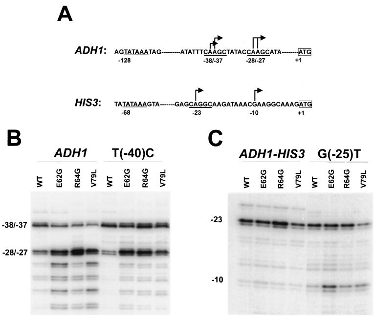 FIG. 7