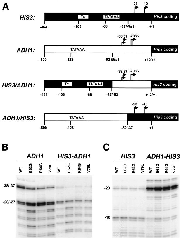 FIG. 6