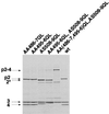 FIG. 10