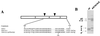 FIG. 7