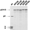 FIG. 5