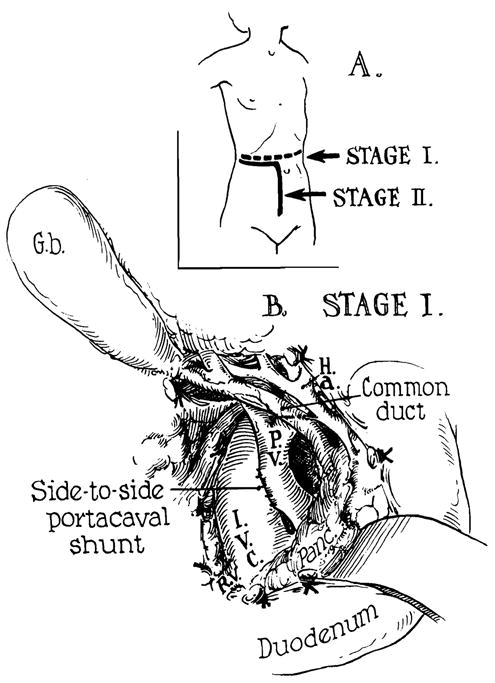 Fig 7