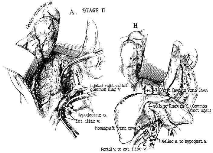 Fig 8