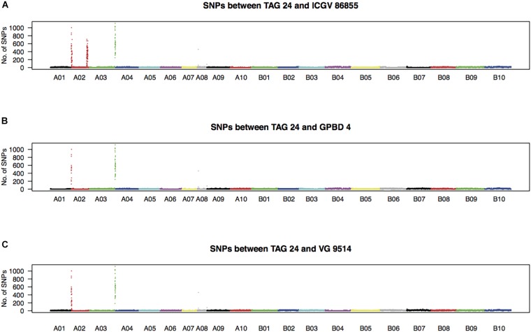 FIGURE 2