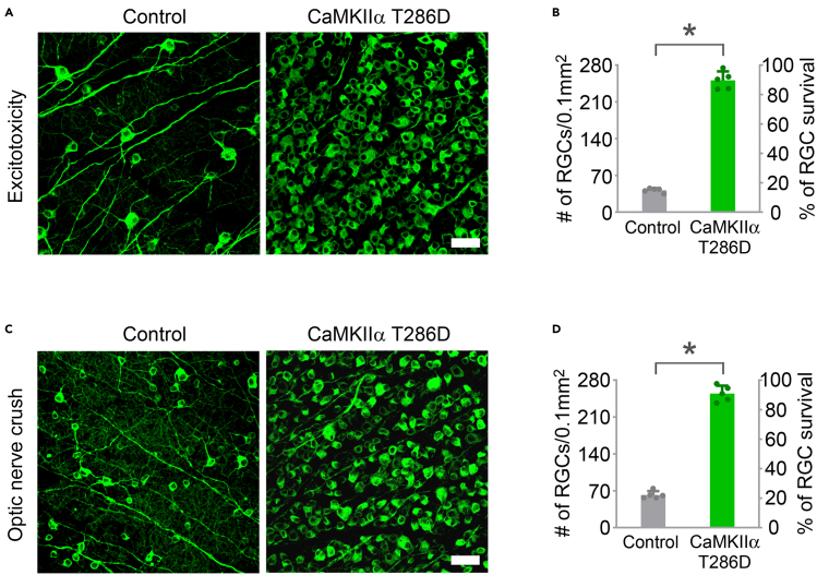 Figure 6
