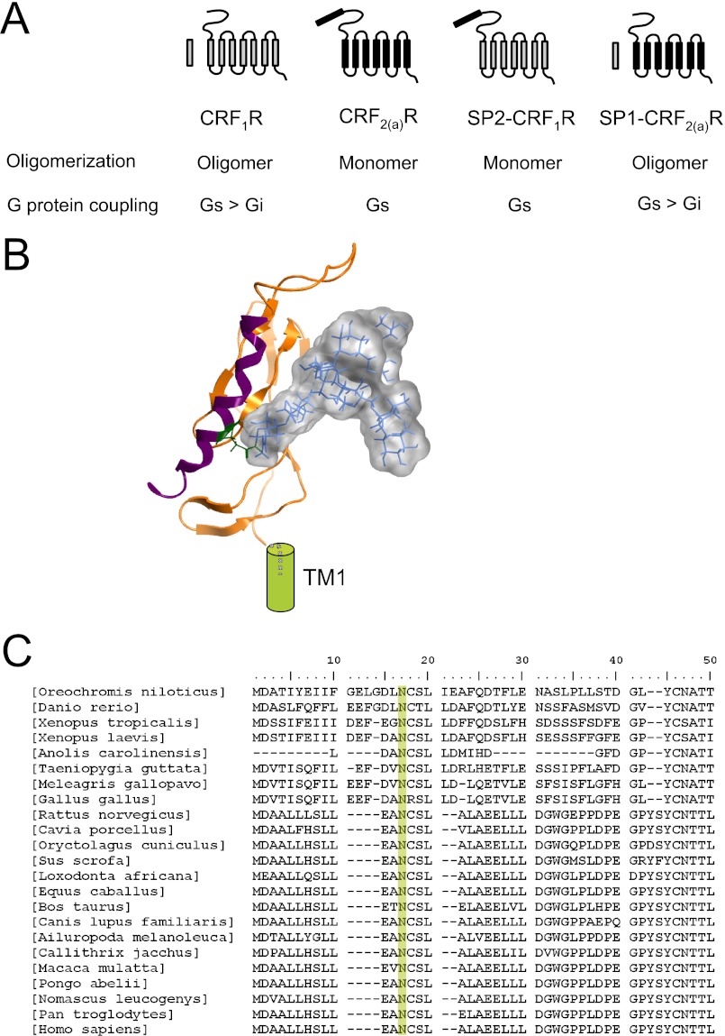 FIGURE 7.