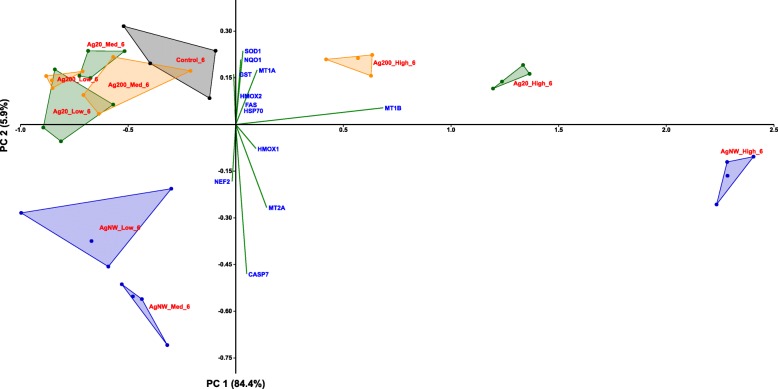 Fig. 7