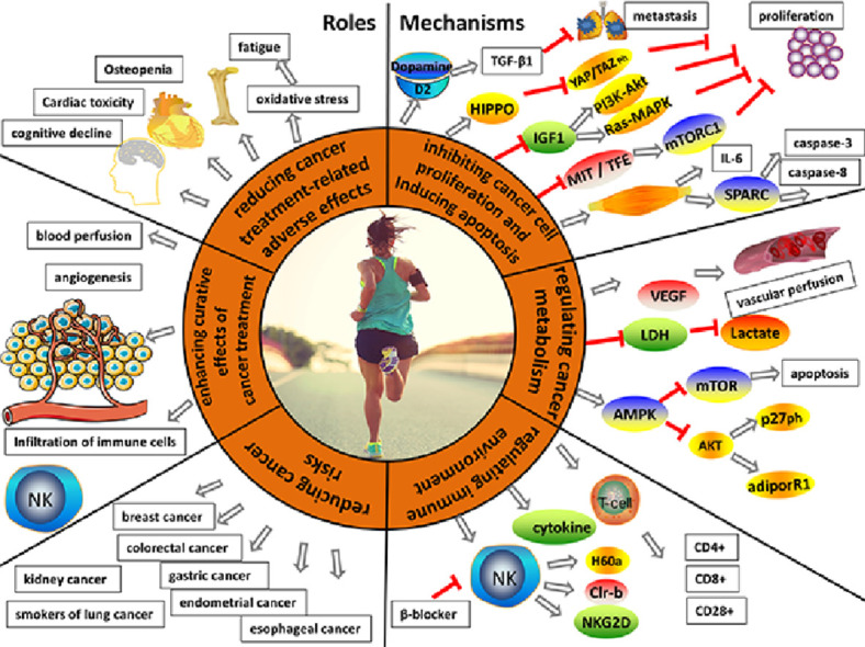 Image, graphical abstract