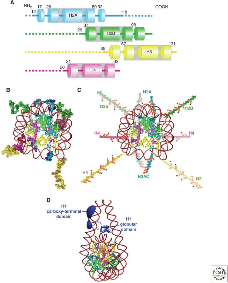 Figure 2.